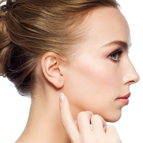 نموذج الأنف الفرنسي 1 نموذج الأنف الفرنسي